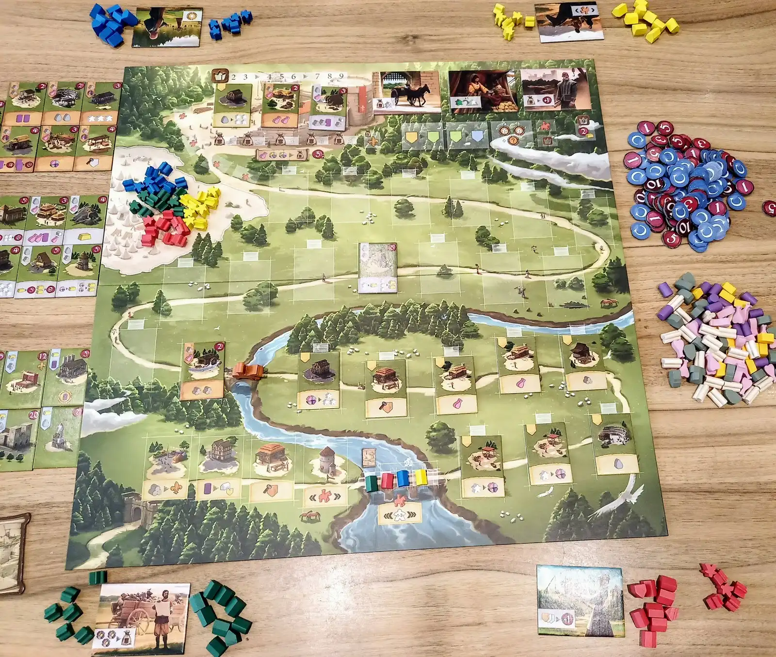 Caylus 1303