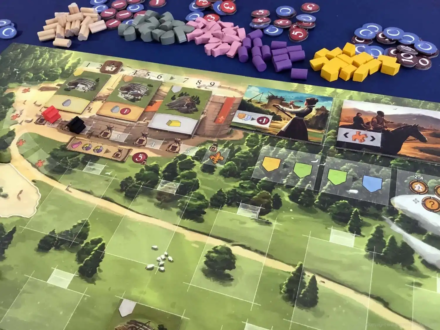 Caylus 1303