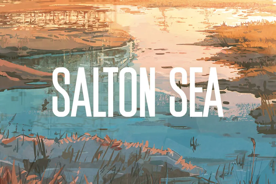 Salton Sea